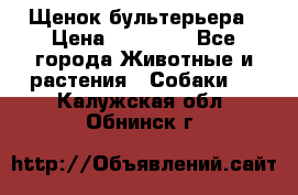 Щенок бультерьера › Цена ­ 35 000 - Все города Животные и растения » Собаки   . Калужская обл.,Обнинск г.
